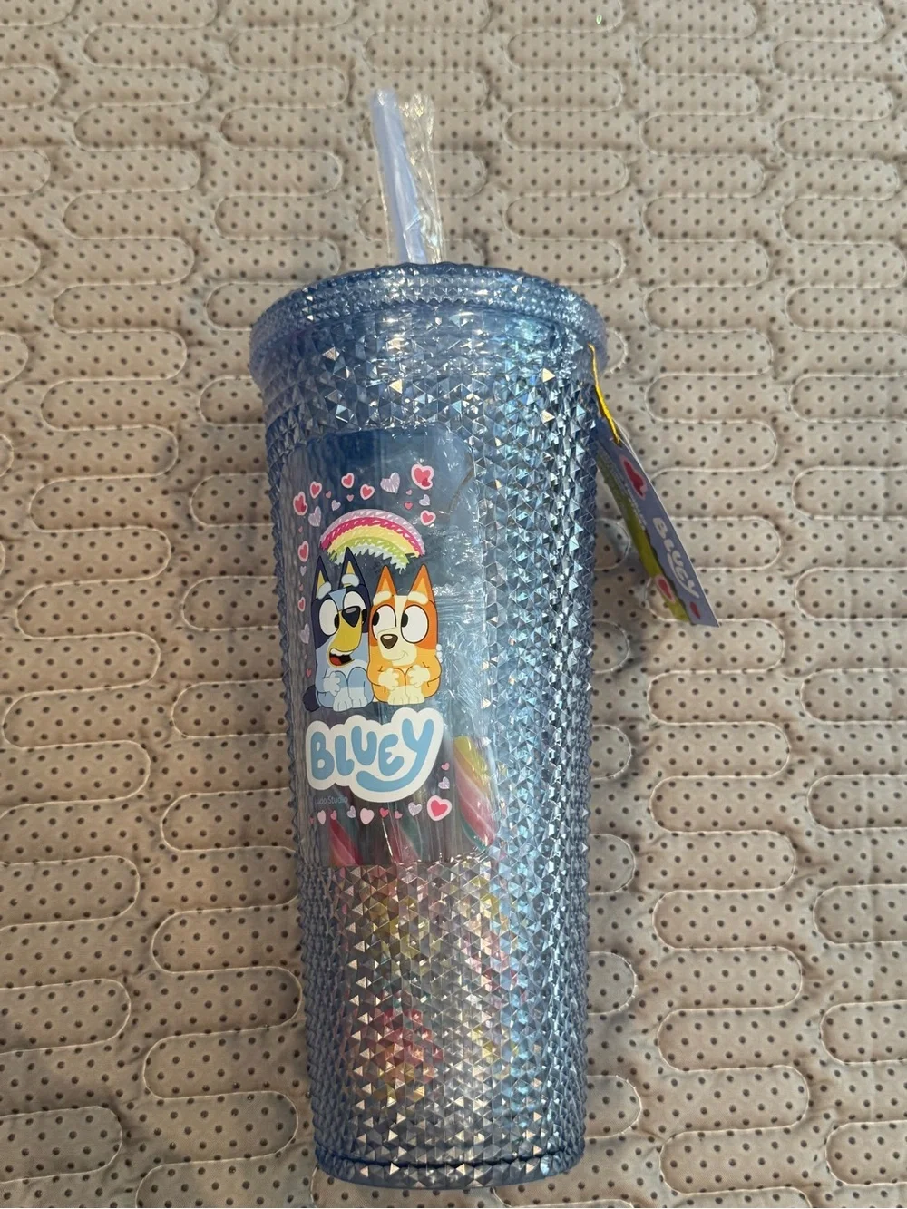 Bluey Tumbler graphics of bluey and bingo